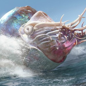 Crystalline Nautilus Art