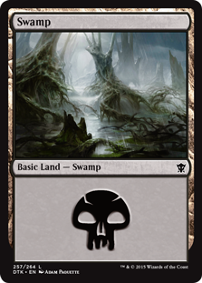 Swamp 1 - Dragons of Tarkir MtG Art