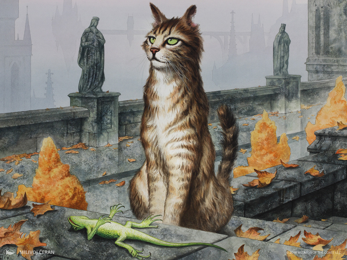 Generous Stray - Guilds of Ravnica MtG Art