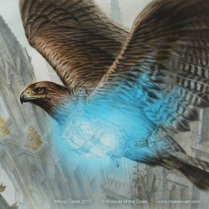 Healer's Hawk - Guilds of Ravnica MtG Art