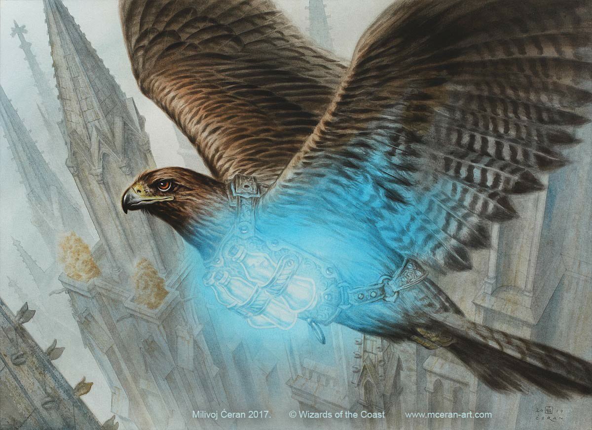 Healer's Hawk - Guilds of Ravnica MtG Art