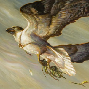 Cartographer's Hawk - Commader 2020 MtG Art