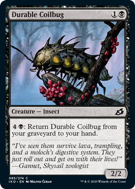 Durable Coilbug