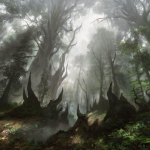 Forest - Core Set 2021 MtG Art