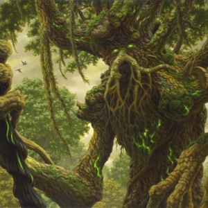 Gnarled Sage - Core Set 2021 MtG Art