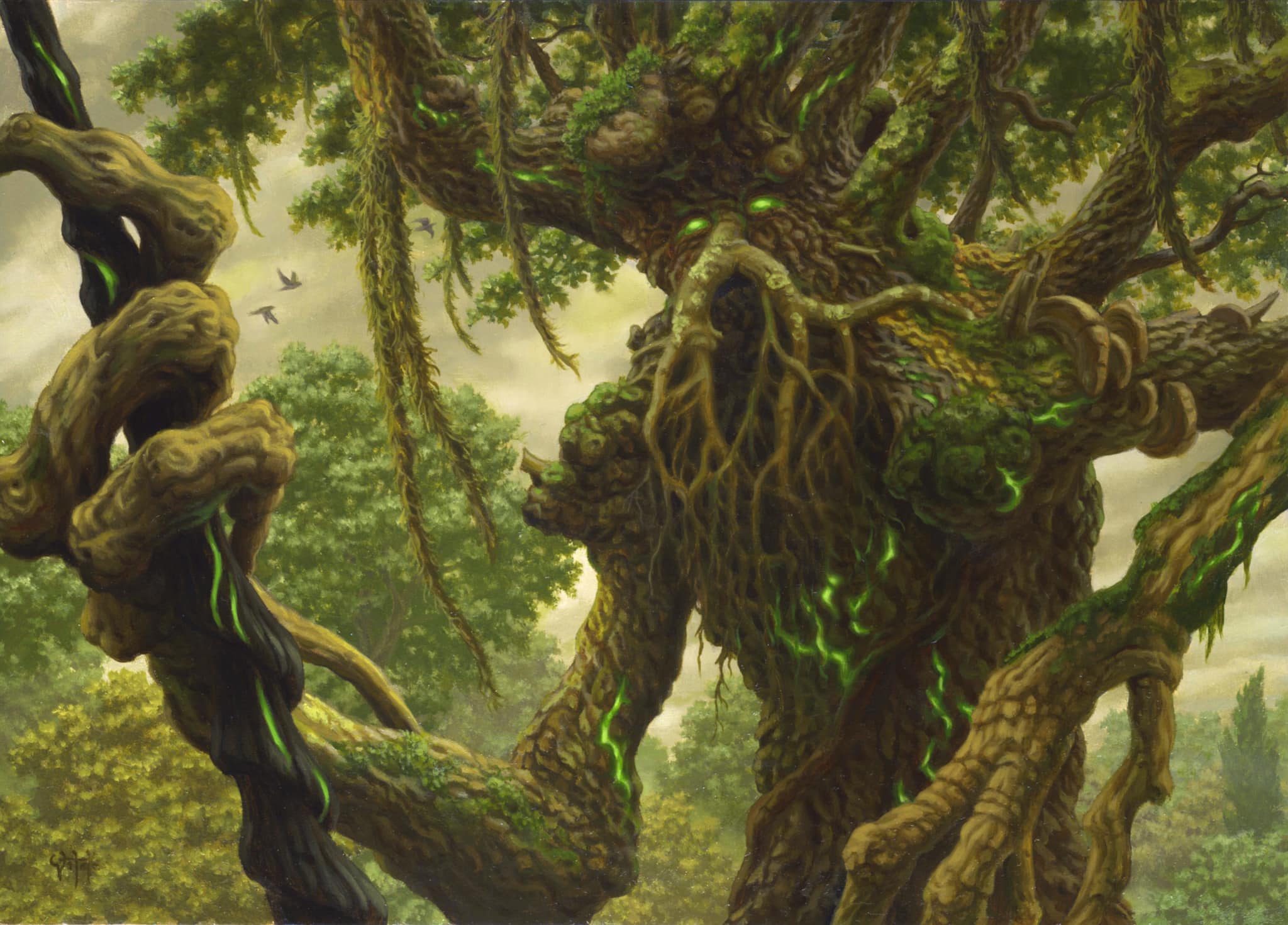 Gnarled Sage - Core Set 2021 MtG Art