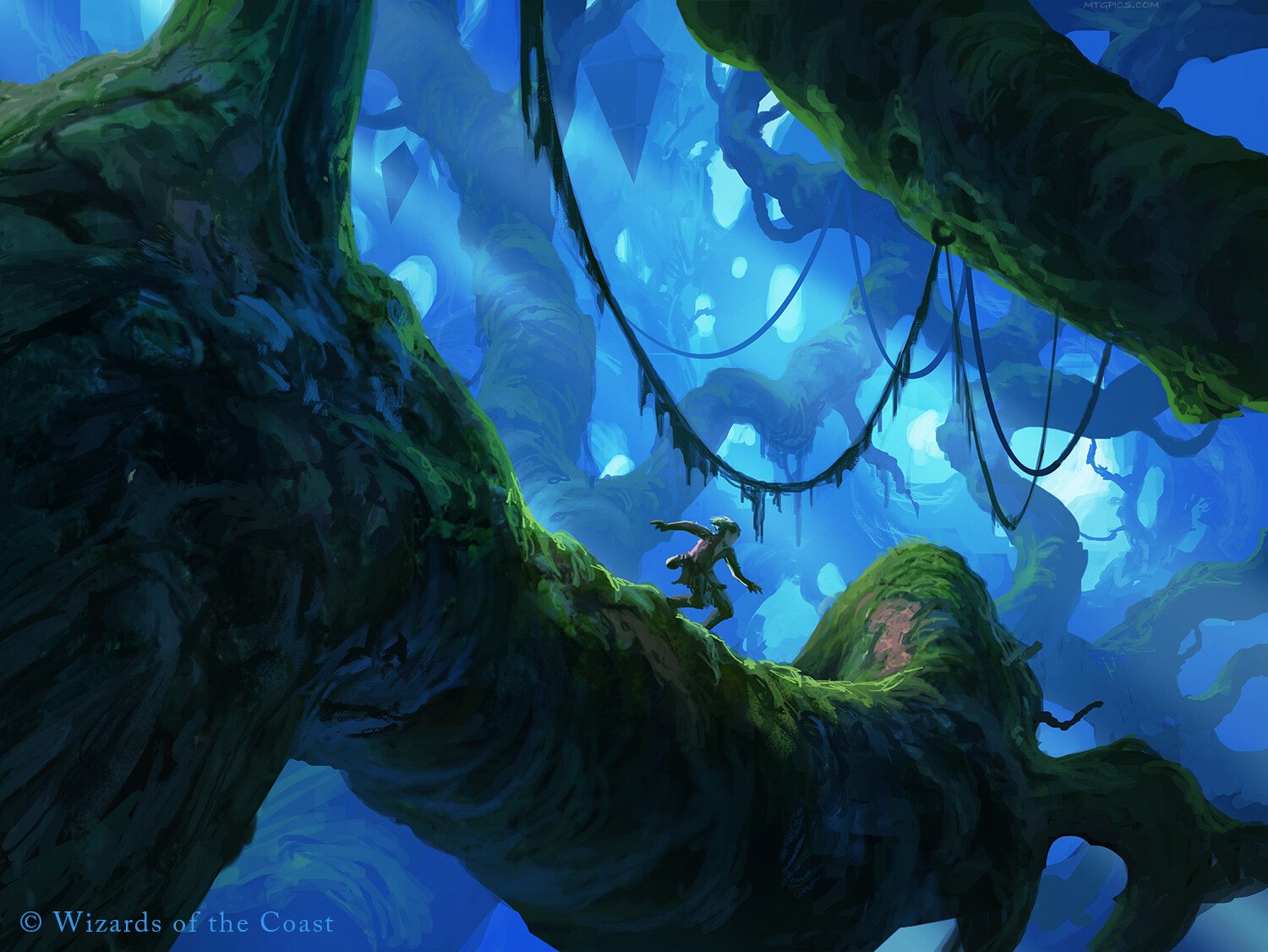 Timbercrown Pathway - Zendikar Rising MtG Art