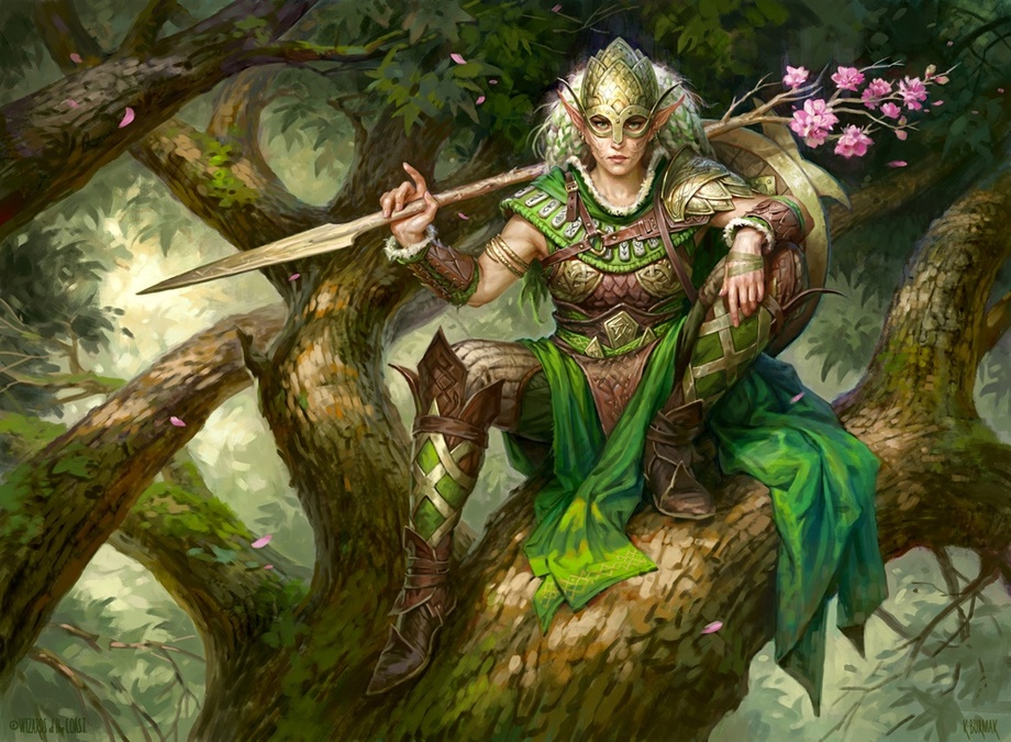 Canopy Tactician - Kaldheim MtG Art