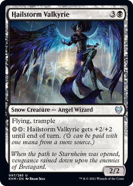 Hailstorm Valkyrie