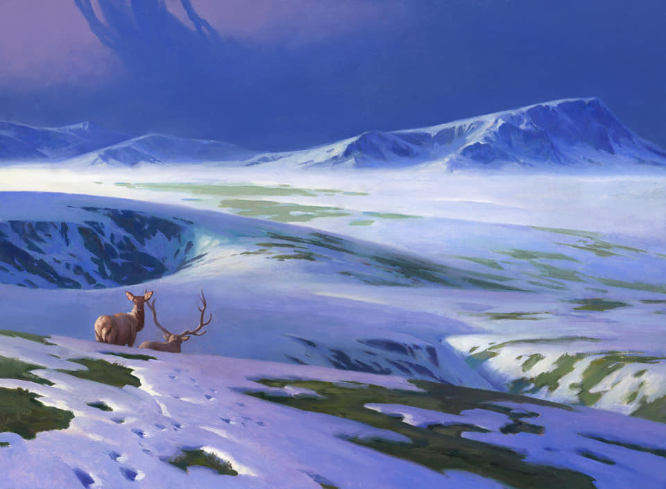 Snow-Covered Plains - Kaldheim MtG Art