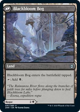 Blackbloom Bog