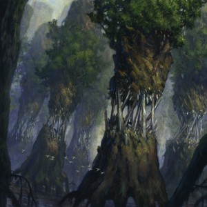 Evolving Wilds - Magic 2013 MtG Art