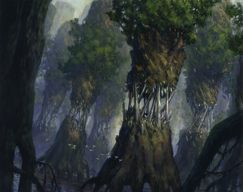 Evolving Wilds - Magic 2013 MtG Art