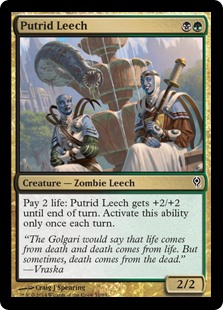 Putrid Leech MtG Art from Duel Decks: Jace vs. Vraska Set by Craig J ...