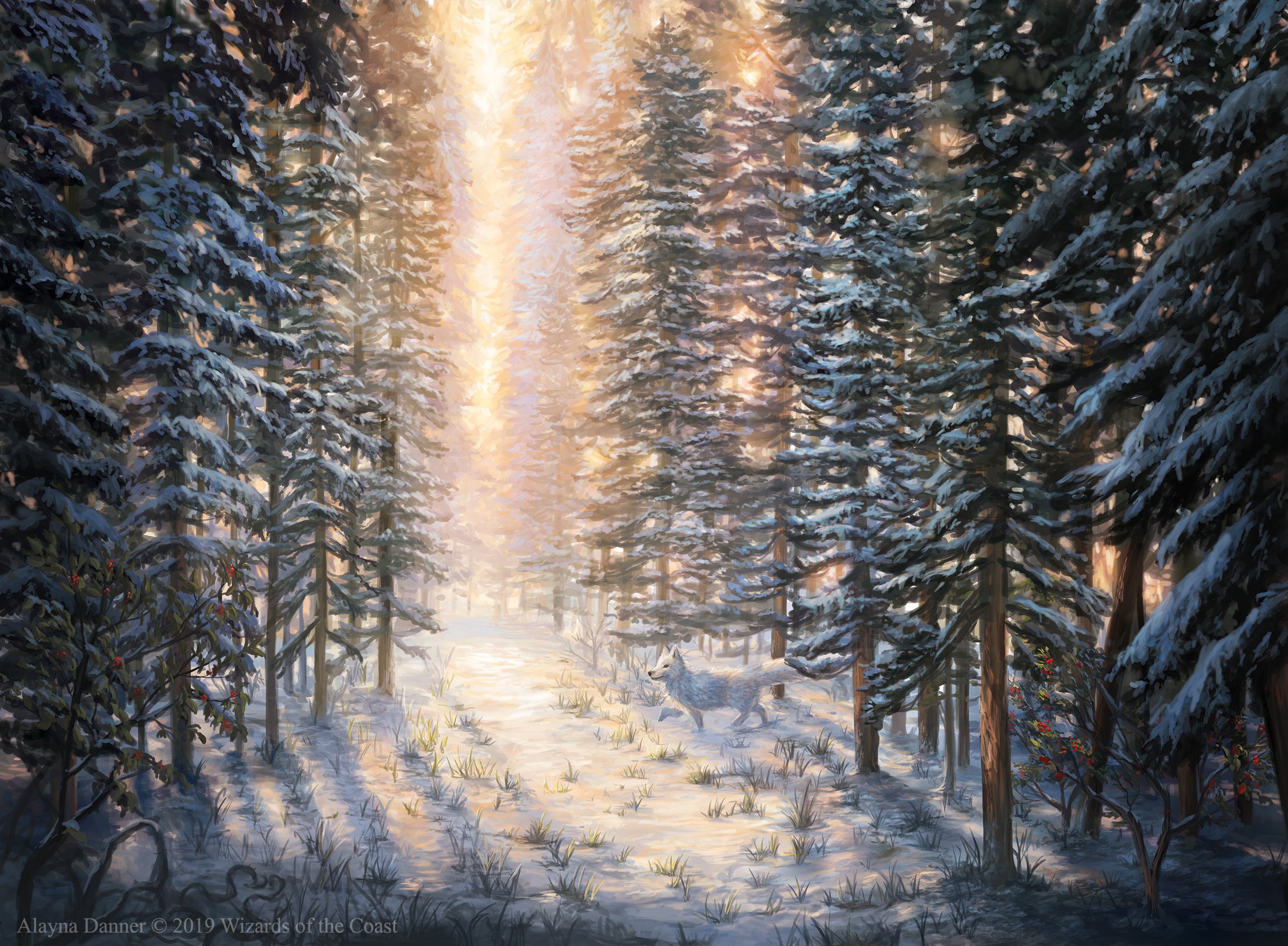 Snow-Covered Forest MtG Art from Secret Lair Set by Alayna Danner