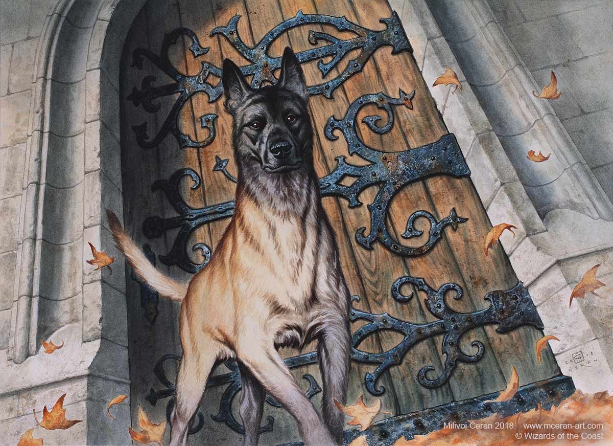 Resolute Watchdog - Ravnica Allegiance MtG Art