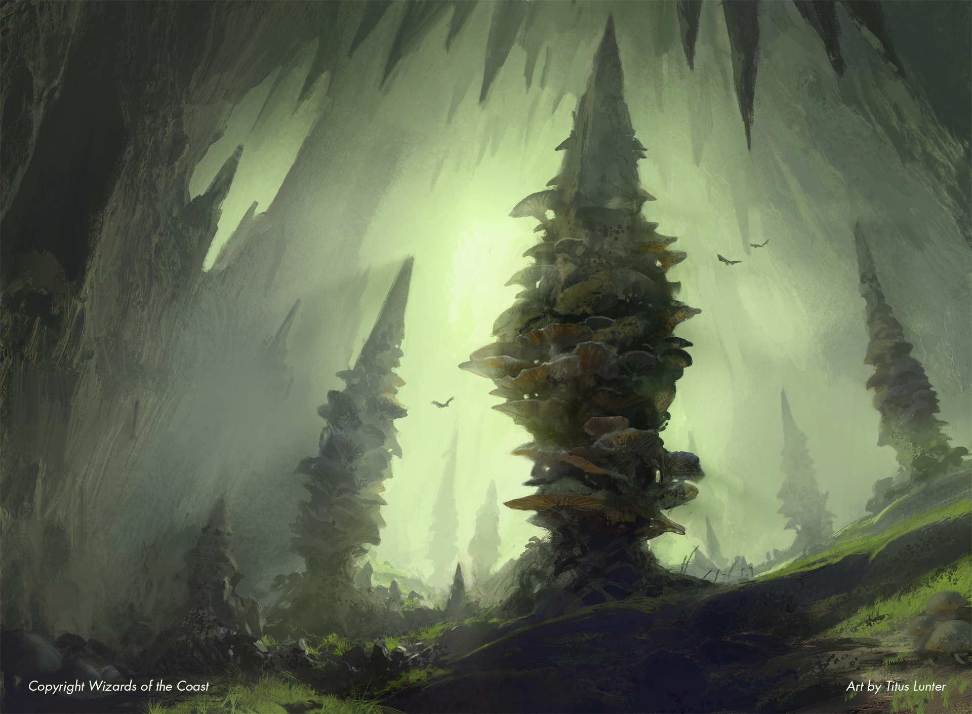 Forest 3 - Adventures in the Forgotten Realms MtG Art