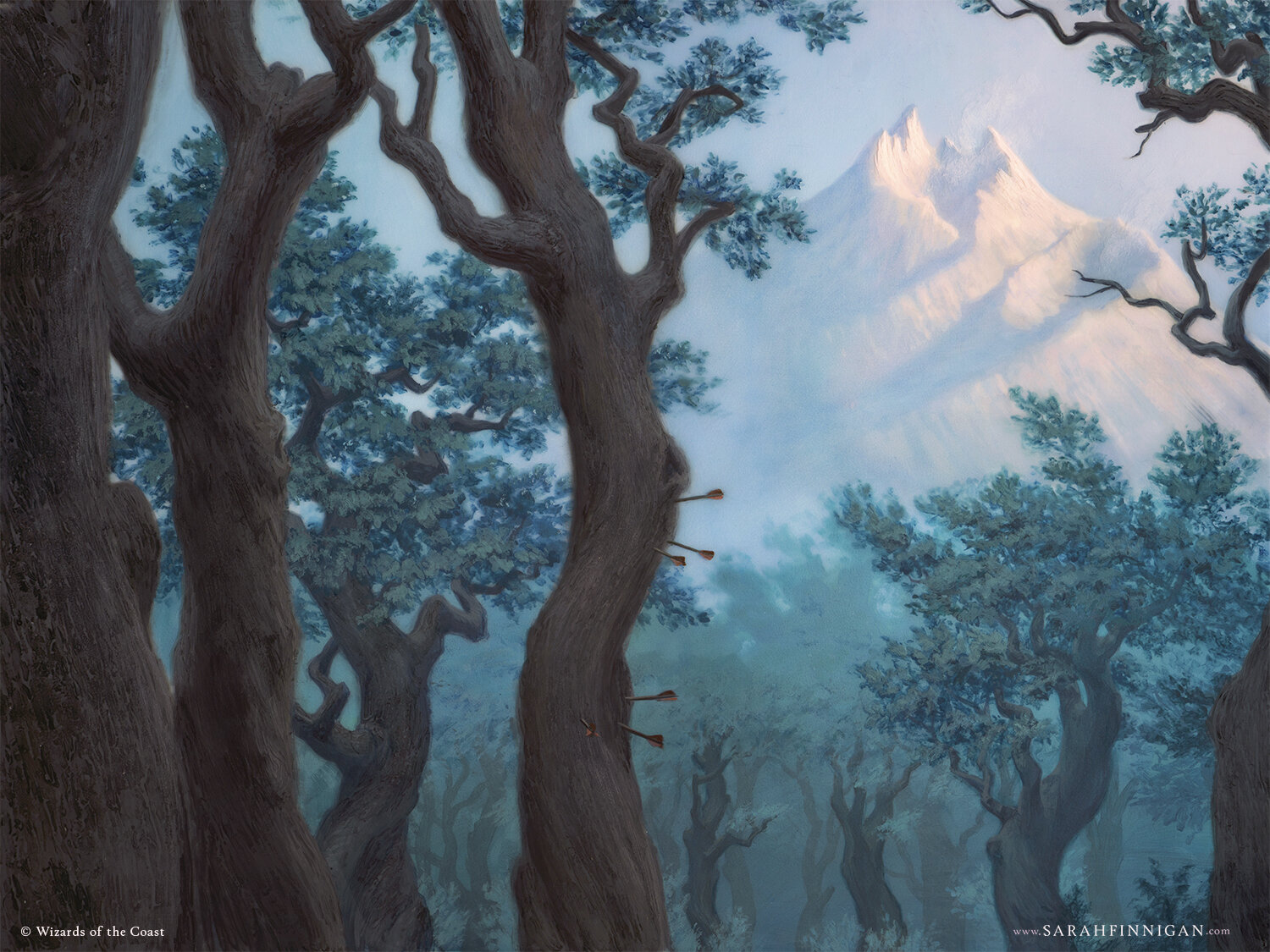 Forest - Adventures in the Forgotten Realms MtG Art