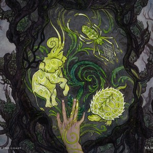 Wild Shape - Adventures in the Forgotten Realms MtG Art