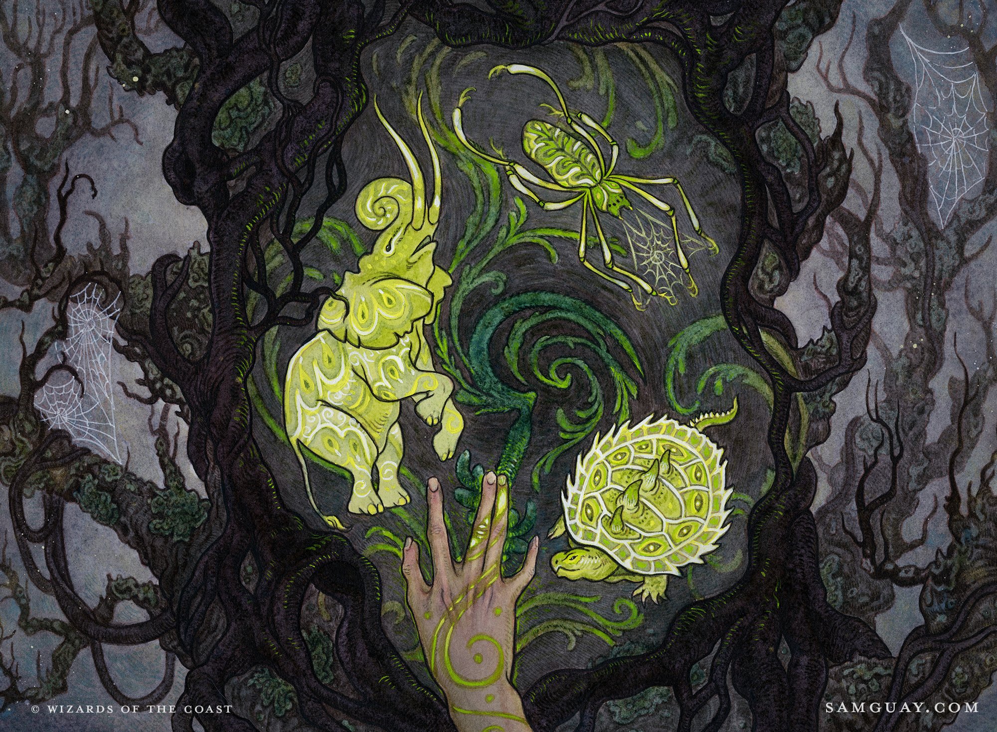 Wild Shape - Adventures in the Forgotten Realms MtG Art