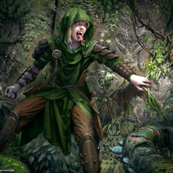 Magic the Gathering Art by Simon Dominic - Art of Magic: the Gathering