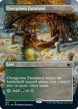 Overgrown Farmland - Innistrad Midnight Hunt 