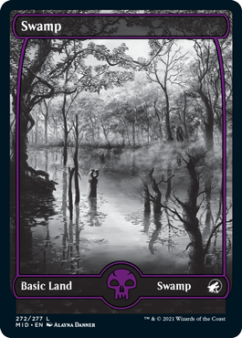 Swamp