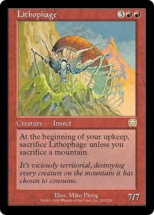 Lithophage