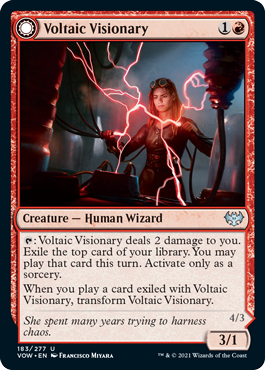 Voltaic Visionary