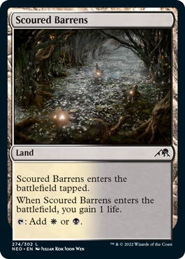 Scoured Barrens